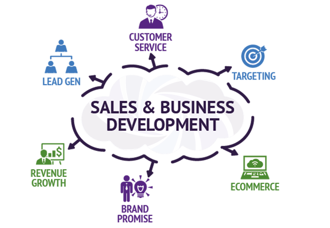 difference-between-business-development-sales-bayt-specialties